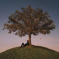 Slowthai - Tyron vinyl cover