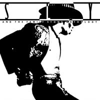 Sly & The Family Stone - Anthology - Greatest Hits Black White & Gray Swirl Audiophile Poster vinyl cover