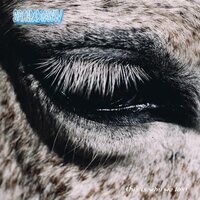 Smag På Dig Selv - This Is Why We Lost  vinyl cover