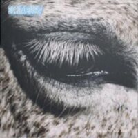 Smag Pa Dig Selv - This Is Why We Lost vinyl cover