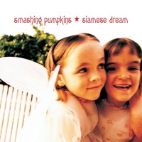 Smashing Pumpkins - Siamese Dream vinyl cover