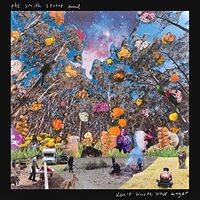 Smith Street Band - Don't Waste Your Anger vinyl cover