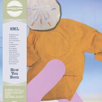 SML - How You Been vinyl cover