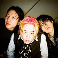 Snake Chicken Soup - More & More & More / Smash vinyl cover