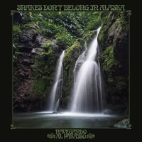 Snakes Don't Belong in Alaska - Navegando Al Paraiso vinyl cover