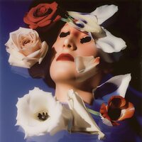 Snakeskin - They Kept Our Photographs vinyl cover