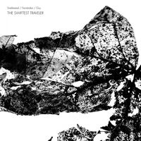 Snekkestad  /  Fernandez  /  Guy - The Swiftest Traveler vinyl cover