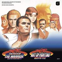 Snk Neo Sound Orchestra - Art Of Fighting III vinyl cover