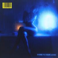 Snoh Aalegra - Dying 4 Your Love vinyl cover
