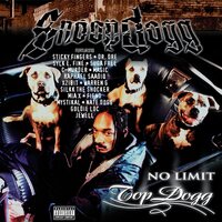 Snoop Dogg - No Limit Top Dogg vinyl cover