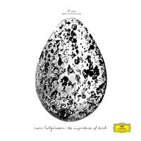 Snorri Hallgrimsson - The Importance of Birds EP vinyl cover