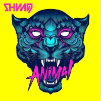Snow Patrol - Animal vinyl cover