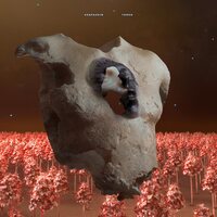 Soap&Skin - Torso vinyl cover