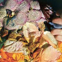 Soela - Genuine Silk vinyl cover