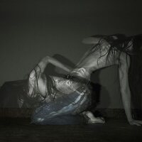 Sofia Isella - Something Is a Shell . vinyl cover