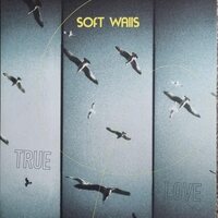 Soft Walls - True Love vinyl cover