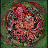 Sonic Poison - Harsh Demonstration vinyl cover