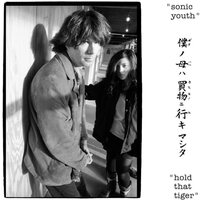 Sonic Youth - Hold That Tiger vinyl cover