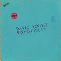 Sonic Youth - Live In Brooklyn 2011 vinyl cover