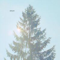 Sonlife - Sonlife vinyl cover