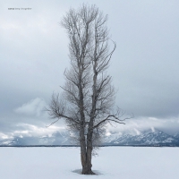 Sonna - Keep It Together vinyl cover