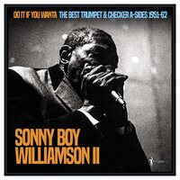Sonny Boy Williamson II - DO It If You Wanta: The Best Trumpet & Checker A-Sides 1951-62 vinyl cover