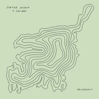 Sontag Shogun & Lau Nau - Paivakahvit vinyl cover