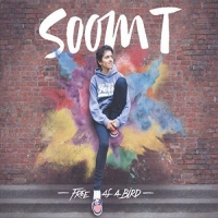 Soom-T - Free As A Bird vinyl cover