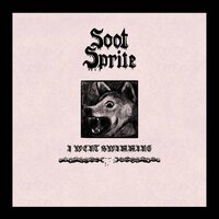 Soot Sprite - I Went Swimming / Home Among Your Bones vinyl cover