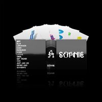 Sophie - PRODUCT (Deluxe) vinyl cover