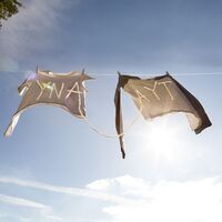 Sorority Noise - Ynaayt vinyl cover