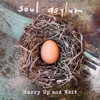 Soul Asylum - Hurry Up And Wait vinyl cover