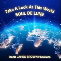 Soul De Lune - Take A Look At This World vinyl cover