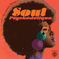 Soul Psychedelique: Sounds of Psychedelic Soul & - Soul Psychedelique: The Sounds Of Psychedelic Soul & Funk 1967-2024 (White) vinyl cover