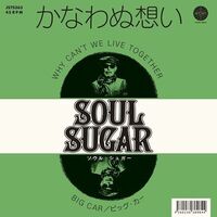 Soul Sugar - Why Can't We Live Together