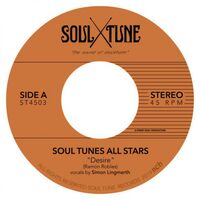 Soul Tune Allstars - Desire / Messin Around vinyl cover