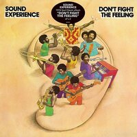 Sound Experience - Don't Fight the Feeling vinyl cover