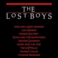 Soundtrack - The Lost Boys Soundtrack (Silver) vinyl cover