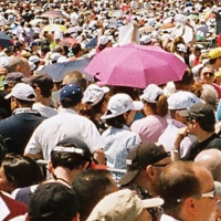 South London Ordnance - Parallel Window vinyl cover