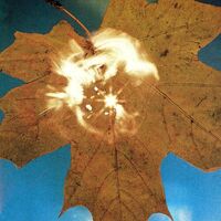 Soyuz (??Io3) - Force Of The Wind vinyl cover