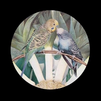 Space Drum Meditation - Sdm001 vinyl cover