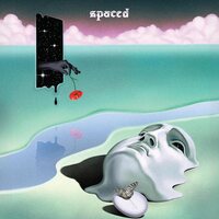 Spaced - This Is All We Ever Get vinyl cover