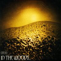 Spasm/Terror In The Woods - Omnio vinyl cover