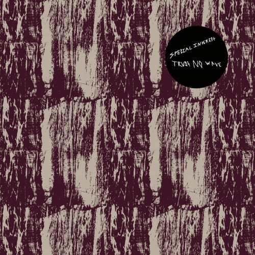 Special Interest - Trust No Wave vinyl cover