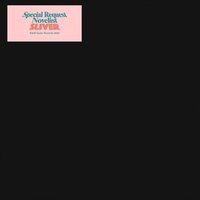 Special Request - Sliver vinyl cover