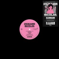 Spectac & Amiri - Beautiful Soul vinyl cover