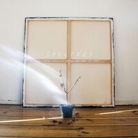 Spectres - It’s Never Going To Happen And This Is Why vinyl cover