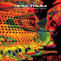 Spectrum - Highs Lows & Heavenly Blows vinyl cover