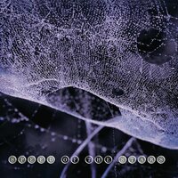Speed of the Stars - Speed of the Stars (Purple) vinyl cover