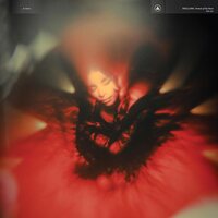 Spellling - Portrait of My Heart vinyl cover